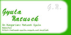 gyula matusek business card